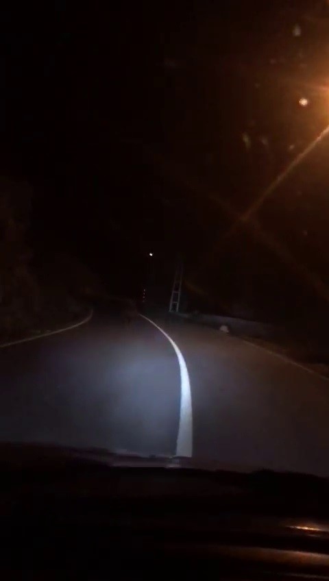 ERZURUM'UN UZUNDERE İLÇESİNDE KÖYÜNE GİDEN GENÇ ADAM YOLDA KARŞILAŞTIĞI AYIYI CEP TELEFONU İLE GÖRÜNTÜLEDİ. BİR SÜRE OTOMOBİLİN ÖNÜNDE KOŞAN AYI DAHA SONRA YAMAÇTAN AŞAĞIYA KOŞARAK UZAKLAŞTI