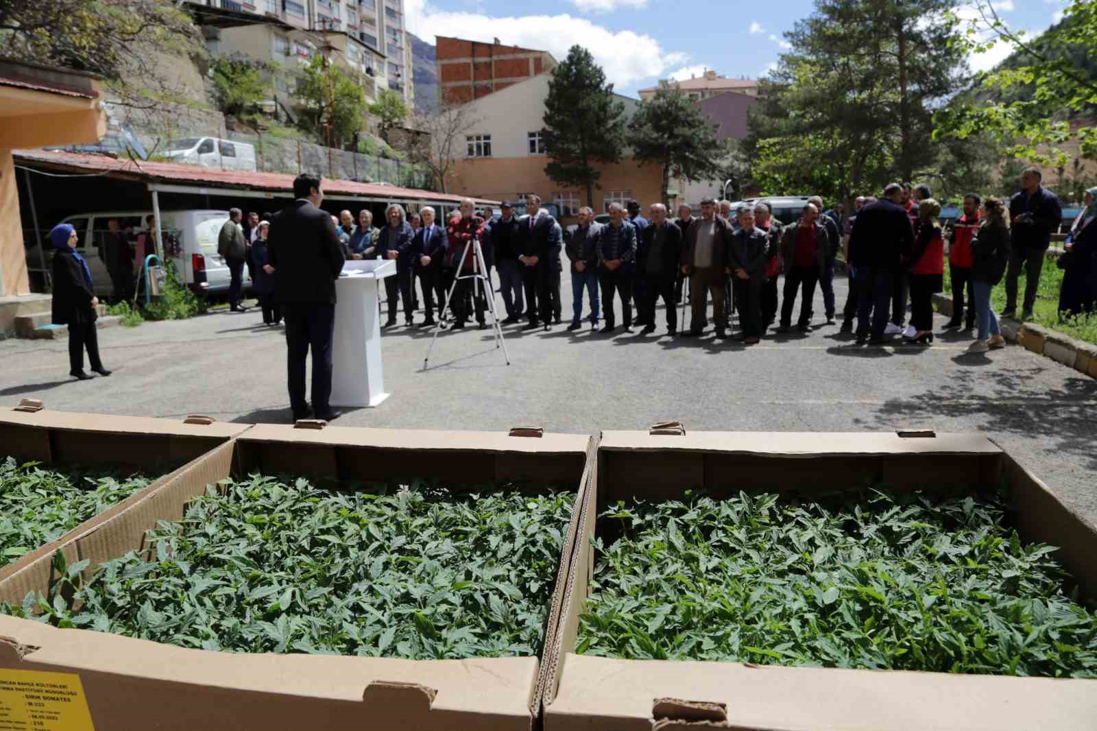 GÜMÜŞHANE’DEN 195 BİN SEBZE FİDESİ TOPRAKLA BULUŞACAK. İL ÖZEL İDARE DESTEKLİ % 50 HİBE DESTEKLİ FİDE DAĞITILDI