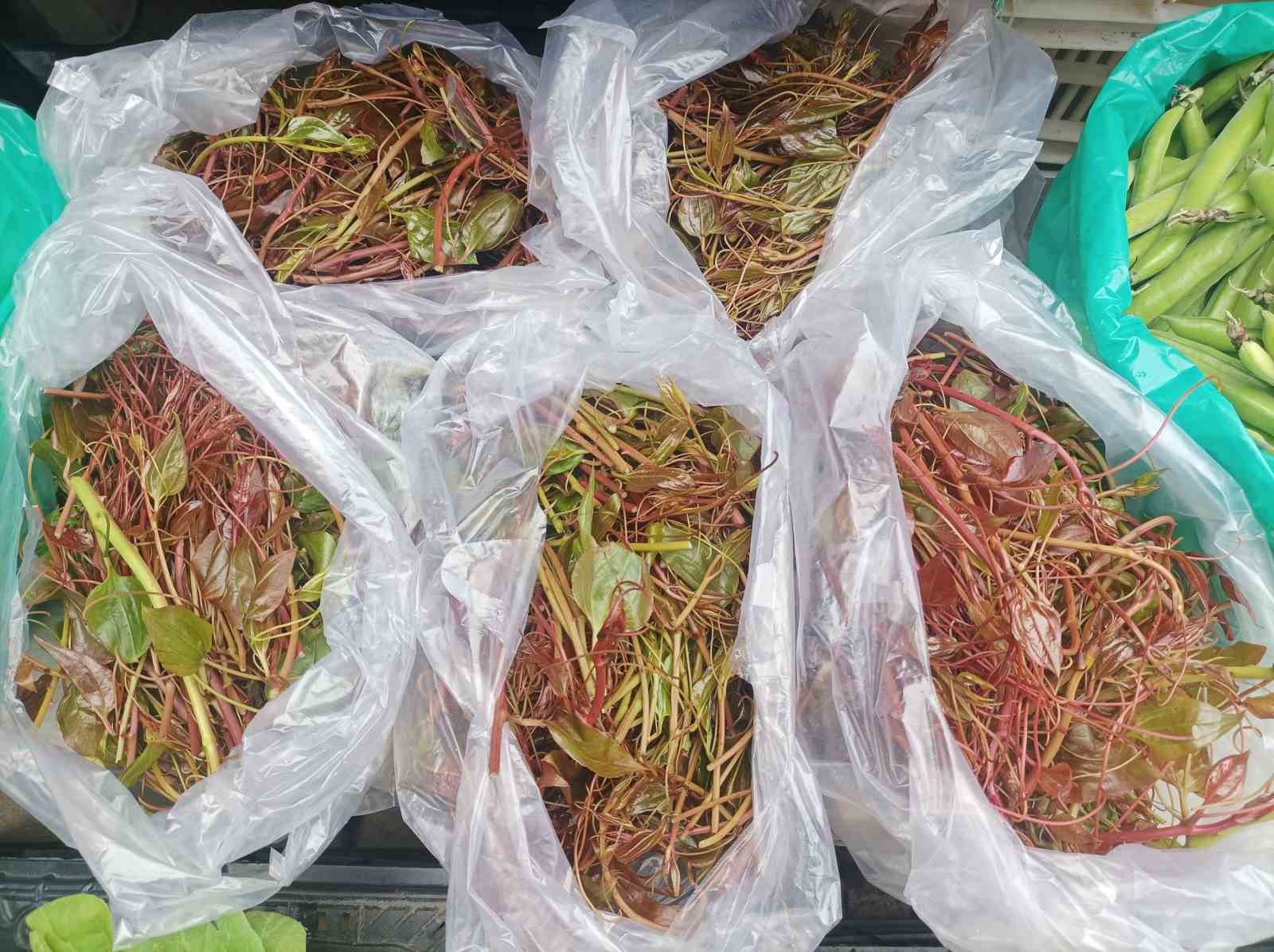 KARDENİZ MUTFAĞINDA TURŞU, KAVURMA GİBİ FARKLI ŞEKİLLERDE TÜKETİLEN VE TEDAVİ EDİCİ ÖZELLİĞİ DE OLDUĞU BELİRTİLEN "MELOCAN" TEZGAHLARDA YERİNİ ALDI