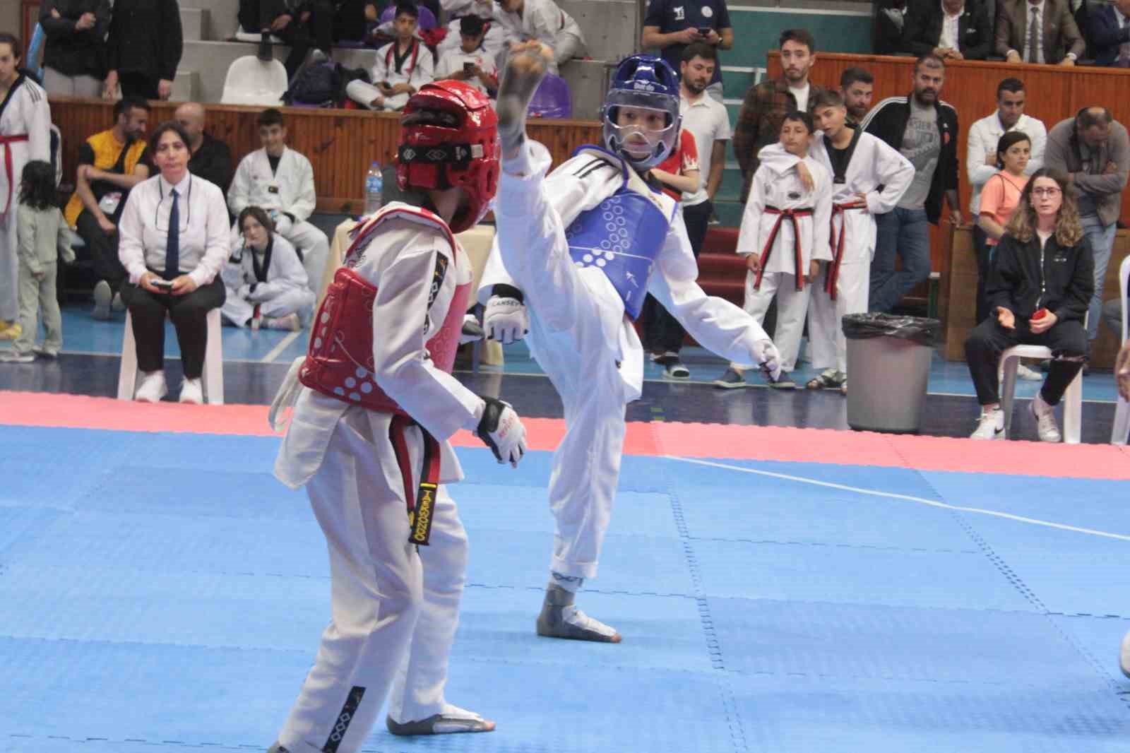 TEKVANDO YILDIZLAR GRUP YARIŞMALARI ORDU’DA 17 İLDEN YAKLAŞIK 300 SPORCU İLE BAŞLADI