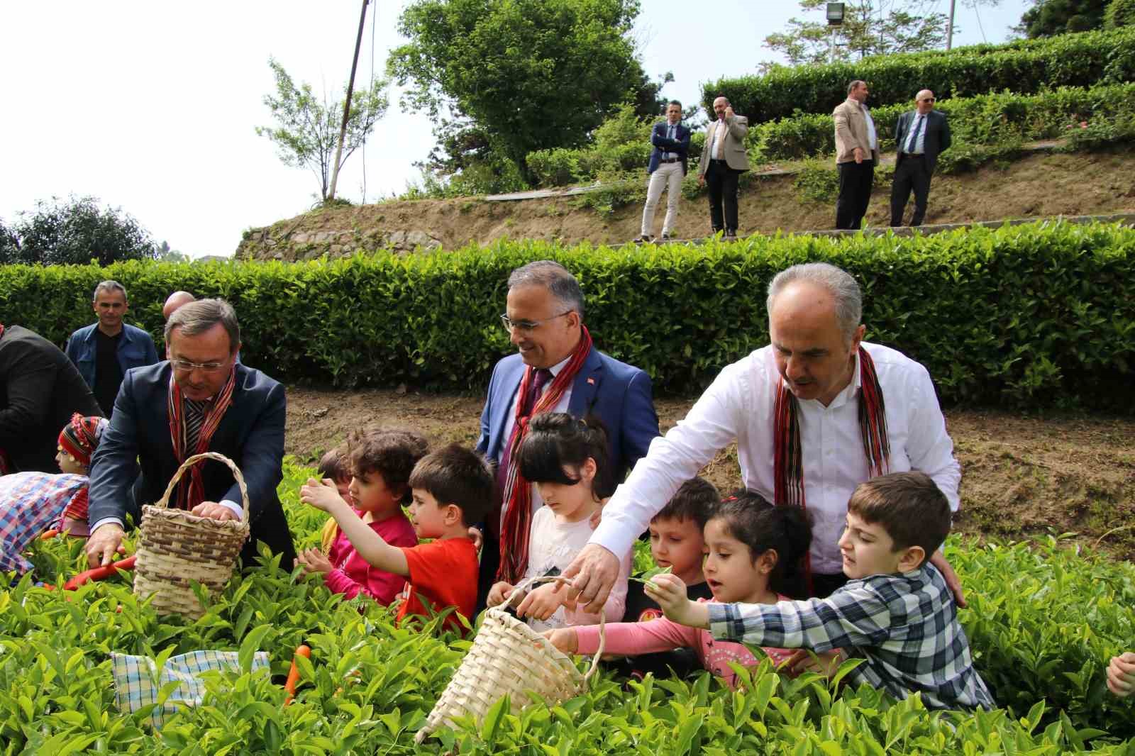 2023 YILI YAŞ ÇAY SESONU İÇİN RİZE PROTOKOLÜ MİNİK ÖĞRENCİLERLE BERABER ÇAY BAHÇESİNE GİREREK ÇAY TOPLADI.