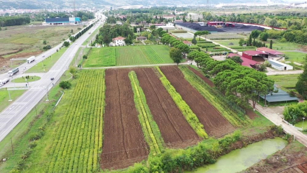 AMASYA ORMAN BÖLGE MÜDÜRLÜĞÜ TARAFINDAN SAMSUN'DAKİ FİDANLIKLARDA ÜRETİLEN 134 TÜRDEN 10 MİLYON FİDAN TÜRKİYE'NİN TÜM İLLERİNE GÖNDERİLEREK ÜLKENİN YEŞİLLENMESİNE KATKI SAĞLANIYOR