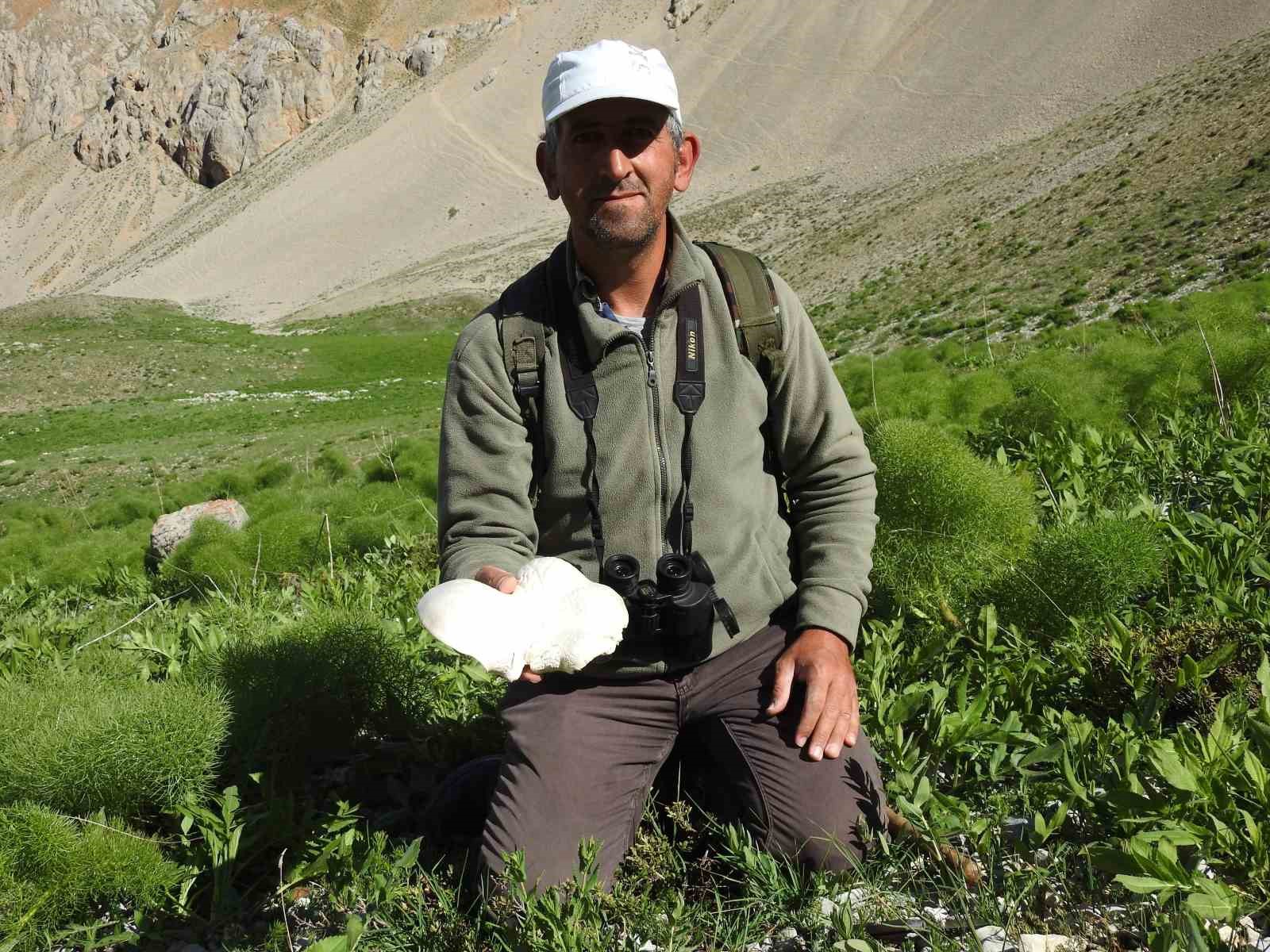 DOĞADA KENDİLİĞİNDEN YETİŞEN PROTEİN DEPOSU MANTARLAR, BAYBURT'TA YAĞAN YAĞMURLARIN ARDINDAN MANTAR YEMEYİ SEVEN VATANDAŞLARIN İLGİ ODAĞI OLDU
