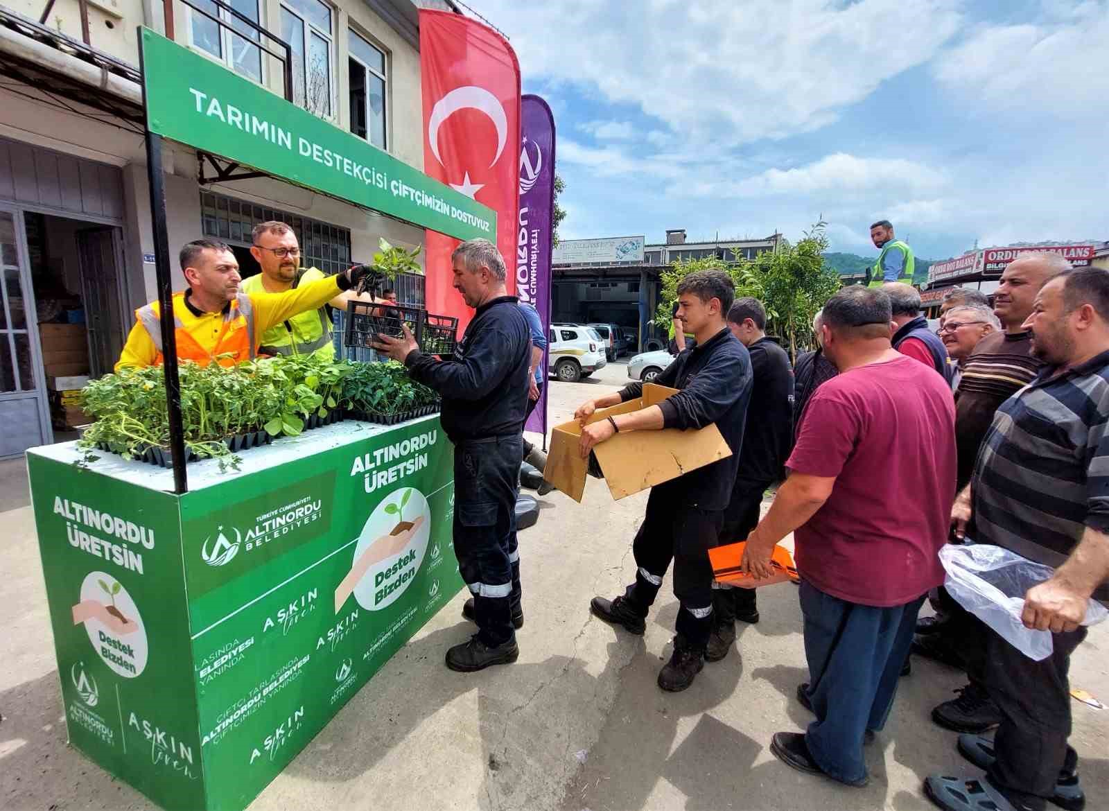 ORDU'NUN ALTINORDU BELEDİYESİ TARAFINDAN ÇİFTÇİLERE VERİLEN FİDE DESTEĞİ DEVAM EDİYOR. BELEDİYE BAŞKANI AŞKIN TÖREN, İLÇE GENELİNDEKİ ÇİFTÇİLERE BU YIL 452 BİN ADET SEBZE FİDE DAĞITIMI YAPACAKLARINI SÖYLEDİ