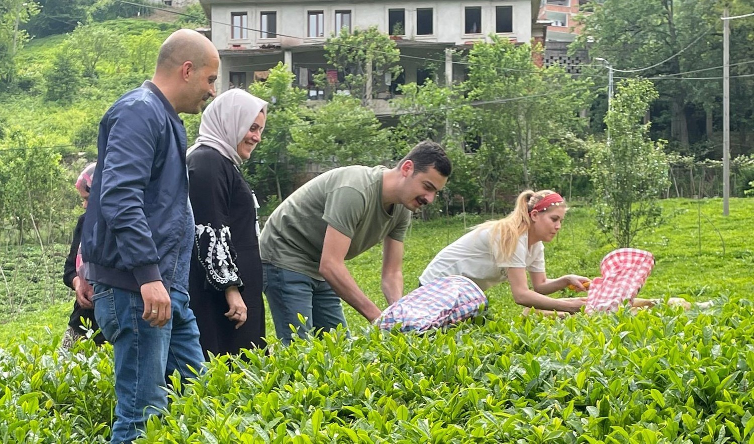 RİZE'NİN İKİZDERE KAYMAKAMI MUSTAFA SALİH BAYRAM, EŞİ VE KÖY SAKİNLERİYLE BİRLİKTE ORGANİK ÇAY TOPLADI, SONRASINDA FABRİKADA ÇAYIN İŞLENME AŞAMASINI İNCELEDİ