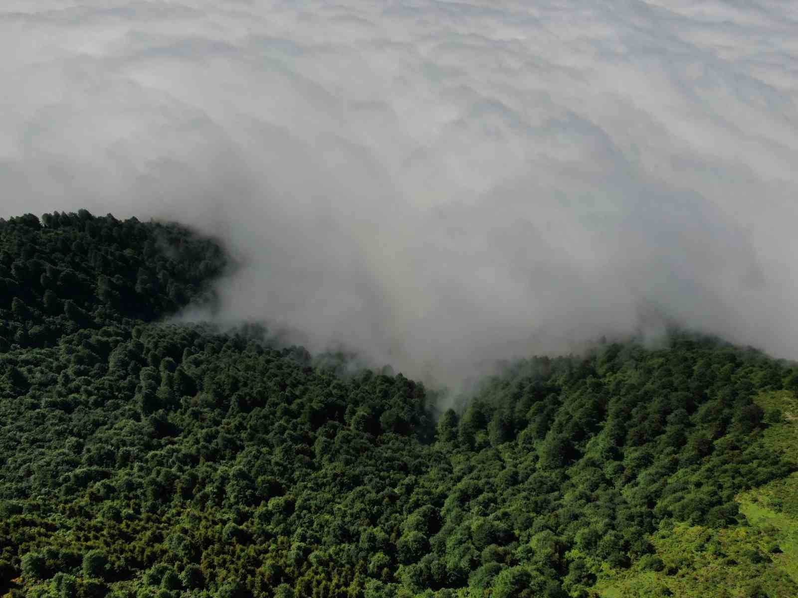 TRABZON'UN AKÇAABAT İLÇESİNİN YÜKSEK KESİMLERİNDE BULUTLARIN GÖRSEL ŞÖLENİ GÖRENLERİ KENDİNE HAYRAN BIRAKIYOR