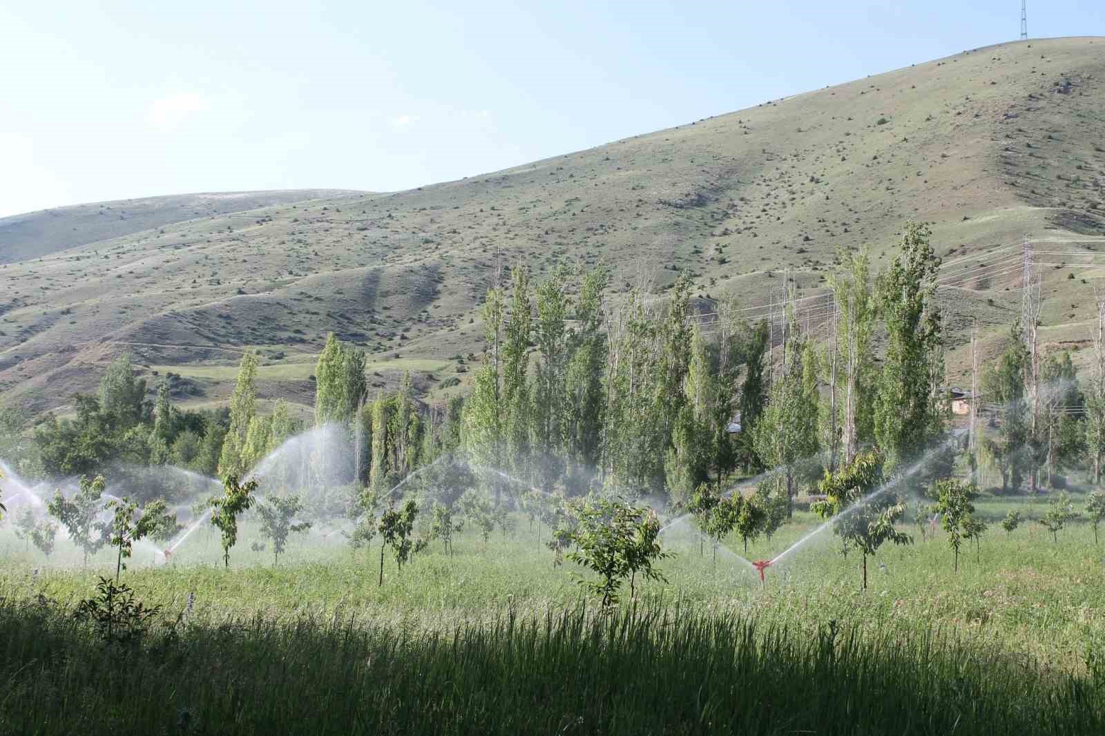BAYBURT'A 14 KİLOMETRE UZAKLIKTA BULUNAN MEYVE AĞAÇLARIYLA BİLİNEN GEZ KÖYÜNDEKİ SULAMA GÖLEDİ TARIM ARAZİLERİNİN SULANMASINDA KULLANILIYOR