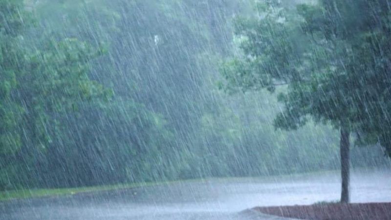 METEOROLOJİ GENEL MÜDÜRLÜĞÜ, RİZE GENELİ VE ARTVİN KIYILARI İÇİN ÇOK KUVVETLİ GÖK GÜRÜLTÜLÜ SAĞANAK UYARISINDA BULUNDU