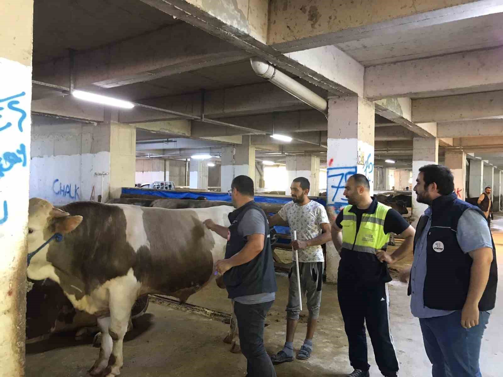 RİZE'DE BELEDİYE EKİPLERİ TARAFINDAN KURBAN PAZARLARINDA DENETİM VE DEZENFEKSİYON ÇALIŞMALARI DEVAM EDİYOR