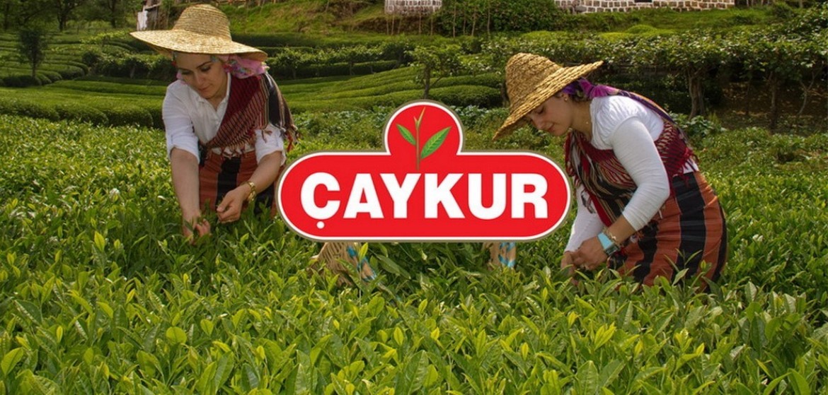 ÇAYKUR'DAN BEKLENEN MÜJDELİ HABER GELDİ. ÜRECİLERİN 2023 YILINDA YAPMIŞ OLDUKLARI BUDAMA BEDELLERİ 23 HAZİRAN CUMA GÜNÜ ÜRECİLERİN HESAPLARINA YATTI