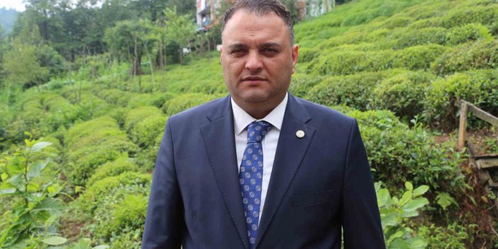 BÜNYAMİN ARSLAN; ÇAY ARAZİLERİNDE GÖRÜLEN SARGI OTU ÇAY ÜRETİCİSİNİ TEDİRGİN EDİYOR