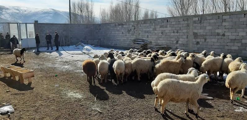 BAYBURT İL TARIM VE ORMAN MÜDÜRLÜĞÜNCE YÜRÜTÜLEN SEYYAR KOYUN ÇADIR PROJESİNDE, BAŞVURULAR 28 TEMMUZ 2023 TARİHİNE KADAR İL VE İLÇE MÜDÜRLÜKLERİNDE YAPILABİLECEK