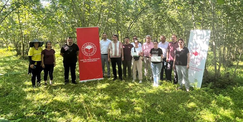 RİZE’DE KAHVERENGİ KOKARCAYA KARŞI BİYOLOJİK MÜCADELE İÇİN YUMURTA PARAZİTOİDİ OLAN TRISSOLCUS JAPONICUS DOĞAYA SALINDI