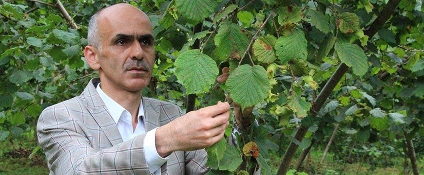 GİRESUN ZİRAAT ODASI BAŞKANI NURİTTİN KARAN, FINDIK HASADINA GÜNLER KALA ÜRETİCİNİN FİYAT BEKLENTİSİNİN 100 LİRANIN ALTINDA OLMAMASI OLDUĞUNU SÖYLEDİ