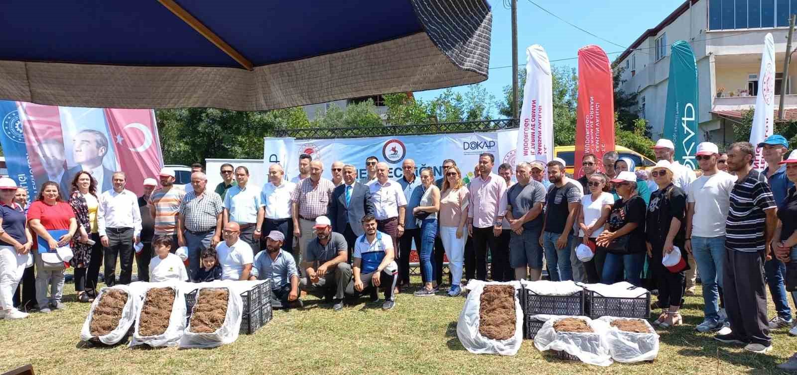 SAMSUN'DA DEVLET TARAFINDAN 50 ÇİFTÇİYE "YEDİVEREN" ADI VERİLEN 750 BİN ADET "ALBİON" CİNSİ ÇİLEK FİDESİ DAĞITILDI