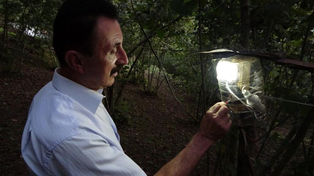 ORDU'DA NECDET PALA, KARADENİZLİ ZEKASINI KULLANIP FINDIK BAHÇESİNE YERLEŞTİRDİĞİ YAKLAŞIK 50 ADET LED LAMBA, ALARM SİSTEMİ VE ÇAKAR LAMBALARIN YARDIMIYLA DOMUZLARI UZAKLAŞTIRIYOR