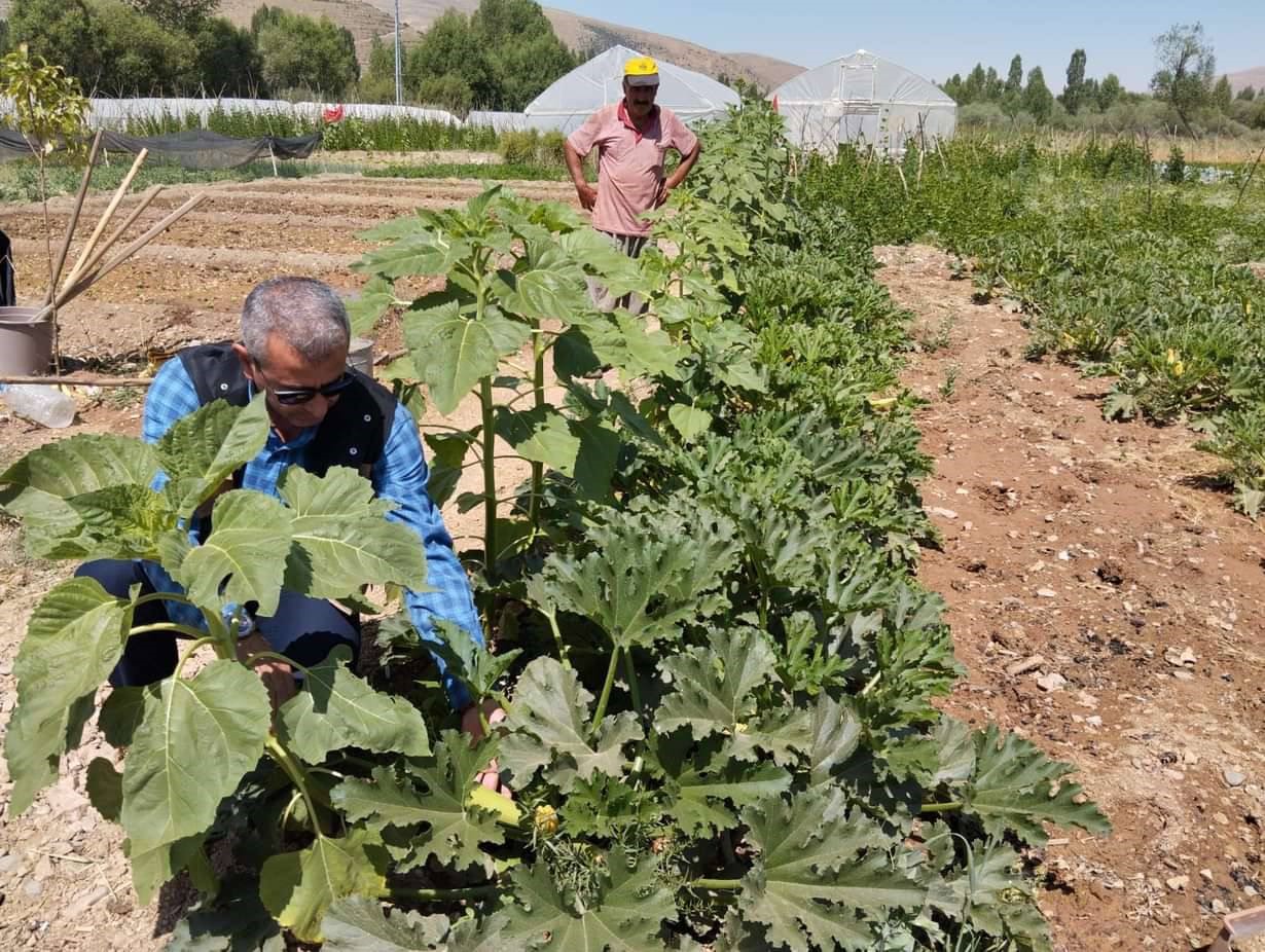 BAYBURT EKO-KÖYDE VATANDAŞLAR KENDİ HASAT ETTİĞİ ÜRÜNLERİ SATIN ALABİLİYORLAR