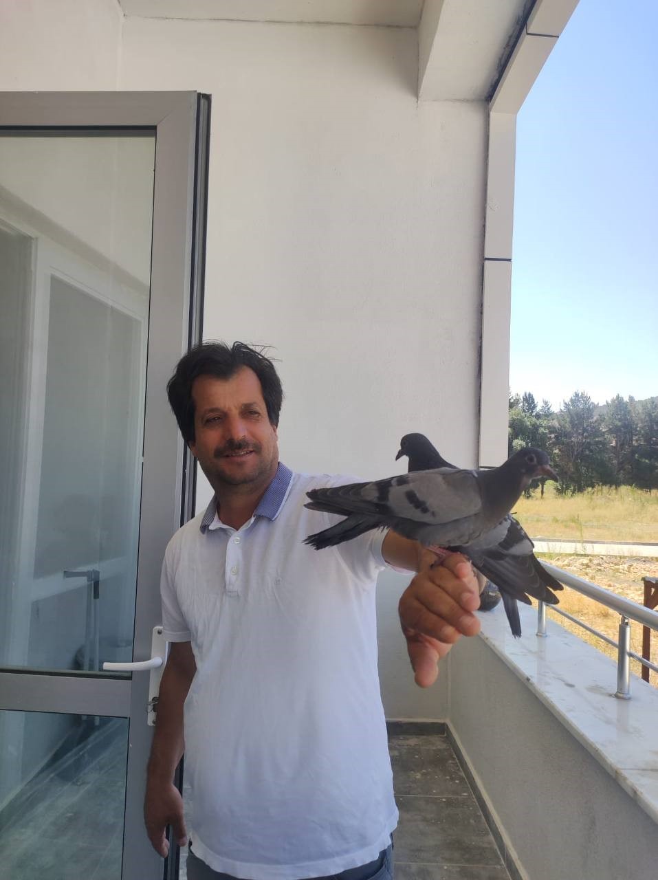 HAVA SICAKLIKLARININ MEVSİM NORMALLERİNİN ÜZERİNDE SEYRETTİĞİ BAYBURT'TA, DOĞADA YAŞAYAN HAYVANLAR BUNALTICI HAVADA ZOR GÜNLER GEÇİRİYORLAR