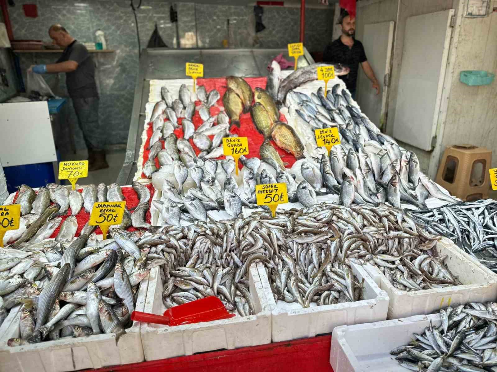 SEZONUN İLK BALIKLARI TEZGAHLARDA. TEZGAHLARDA YERİNİ ALAN BALIKLARDAN MEZGİT 50 TL, İSTAVRİT 50 TL, KEFAL 50 TL, PALAMUT 4 TANE 100 TL, SOMON 70 TL, LEVREK 140 TL, SAZAN 40 TL'DEN SATIŞA SUNULUYOR
