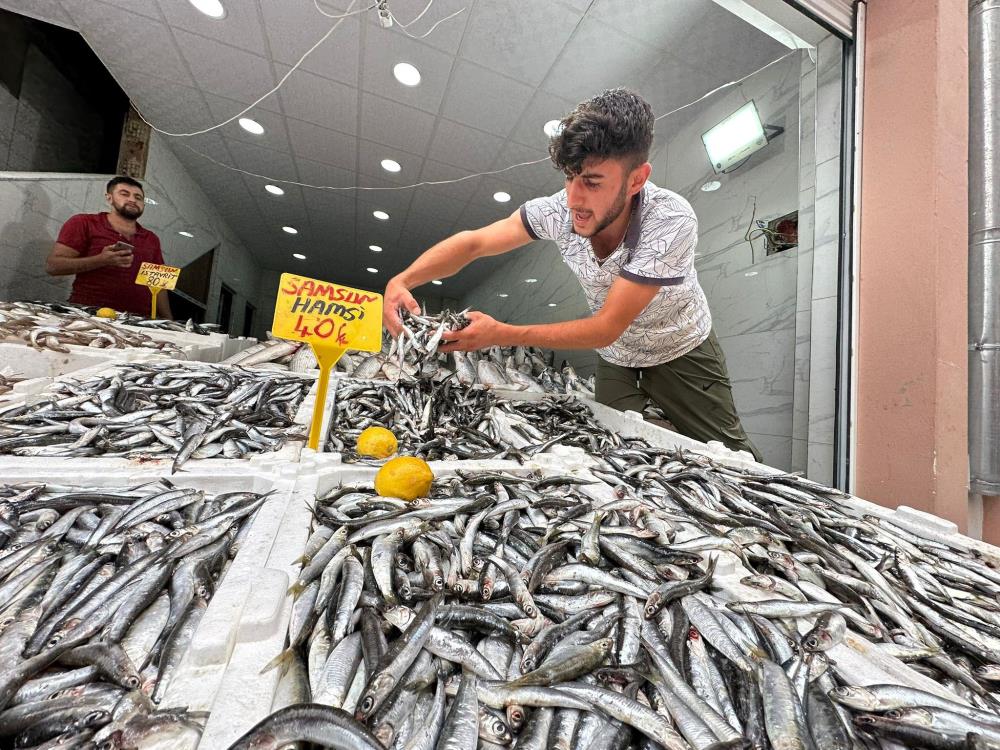 AV YASAĞININ 1 EYLÜL'DE SONA ERMESİYLE BİRLİKTE SAMSUN'DAKİ BALIK TEZGAHLARINDA HAMSİ BOLLUĞU YAŞANIYOR. SAMSUN’DA HAMSİ’NİN KİLOSU 40 TL’DEN SATILIYOR