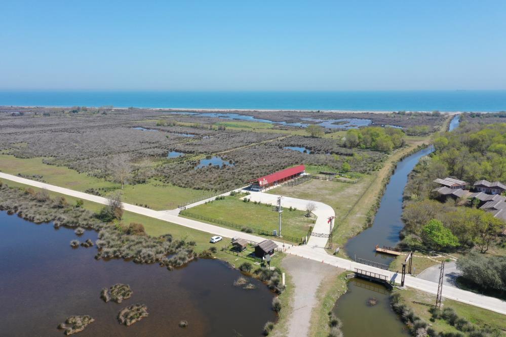 SAMSUN'DA BULUNAN VE UNESCO DÜNYA MİRASI GEÇİCİ LİSTESİ'NDE YER ALAN KIZILIRMAK DELTASI KUŞ CENNETİ'Nİ YAZ DÖNEMİNDE YAKLAŞIK 50 BİN KİŞİ ZİYARET ETTİ