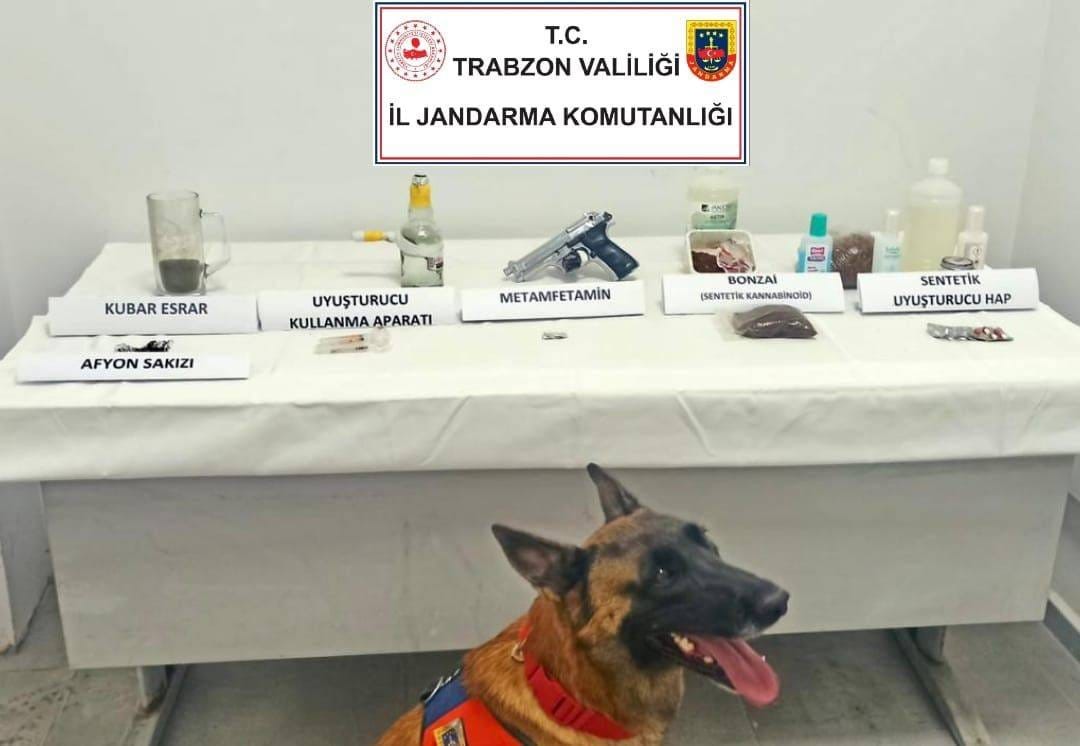 TRABZON'DA JANDARMA EKİPLERİNCE YAPILAN OPERASYONDA İLK GÖREVİNE ÇIKAN LİMON UYUŞTURUCU MADDELERİ TESPİT ETTİ