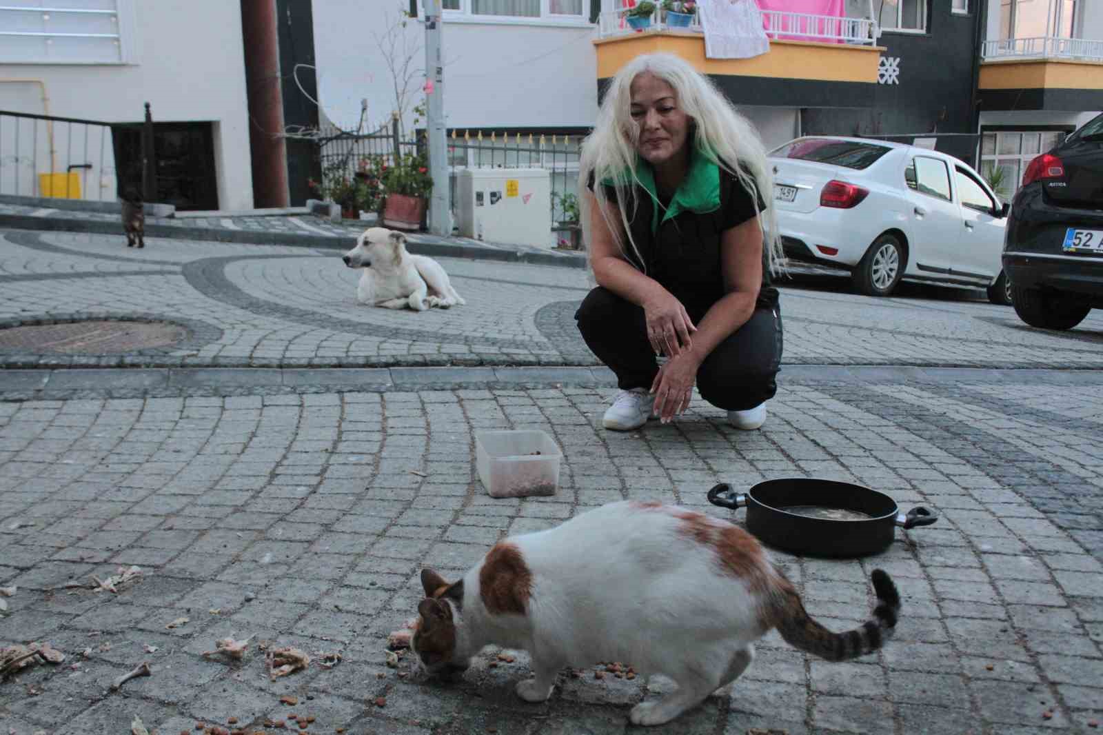 ORDU'DA YAŞAYAN AYLA GÖZÜKAN, 19 YILDIR HER GÜN DÜZENLİ OLARAK SOKAK KEDİLERİNİ BESLİYOR, KEDİLERİ İÇİN DAİRESİNDEN TAŞINMADIĞINI BELİRTİYOR