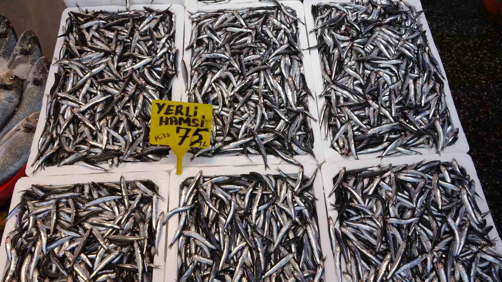 DENİZLERDE AV YASAĞININ 1 EYLÜL İTİBARİYLE SONA ERMESİYLE "VİRA BİSMİLLAH" DİYEREK DENİZE AÇILAN BALIKÇILAR AĞIRLIKLI OLARAK HAMSİ AVLIYOR..HAMSİ SEZONU ERKEN BAŞLADI ANCAK BU İHRACATINA YANSIMADI