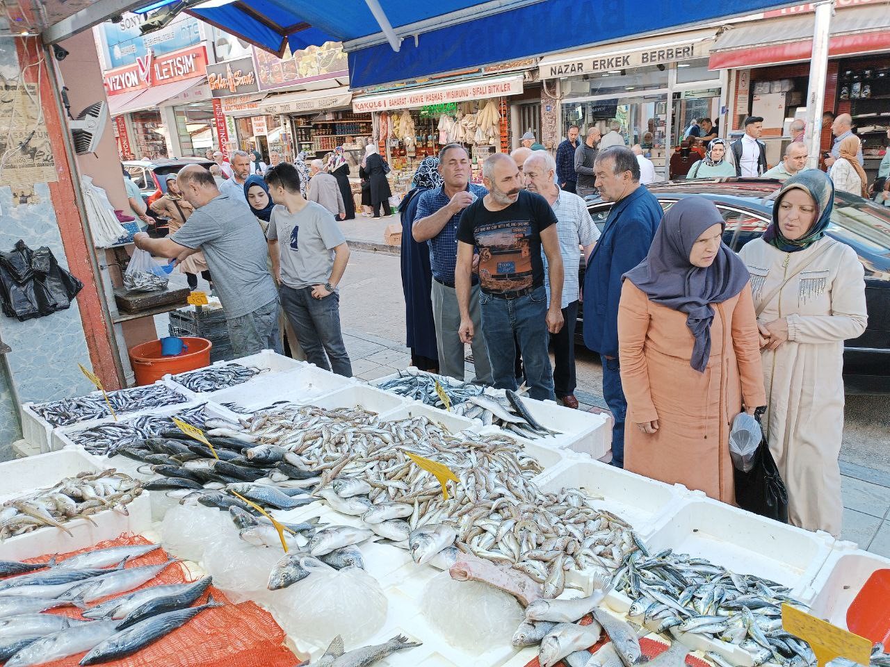 SAMSUN'DA BALIK FİYATLARI UCUZLAYINCA VATANDAŞLAR BALIK ALMAK İÇİN BİRBİRİYLE YARIŞTI. BALIK’LAR KAPIŞ KAPIŞ SATILDI
