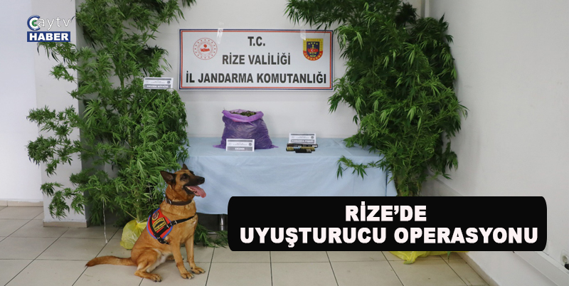 RİZE İL JANDARMA KOMUTANLIĞI KOM ŞUBE MÜDÜRLÜĞÜ RİZE'DE BİR ŞAHSIN EVİNDE SKUNK UYUŞTURUCU MADDESİ ELE GEÇİRDİ. ŞÜPHELİ ŞAHIS ADLİ İŞLEMLERİN TAMAMLANMASININ ARDINDAN SERBEST BIRAKILDI
