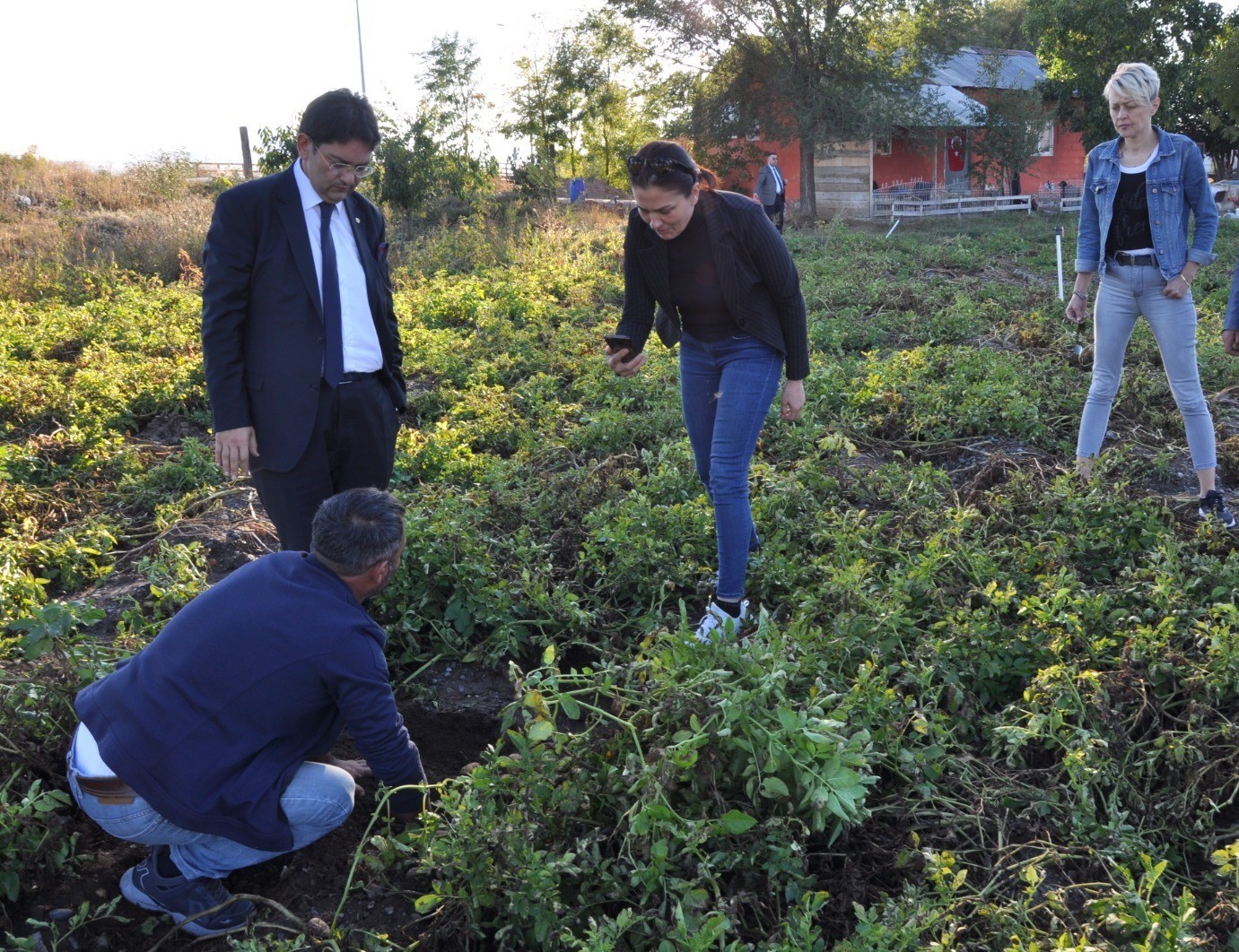 ERZURUM TİCARET BORSASI'NIN KATMA DEĞERİ YÜKSEK ÜRÜNLERİN YETİŞTİRİLMESİNE YÖNELİK ÇALIŞMALARI DEVAM EDİYOR. ERZURUM'DA ÖNÜMÜZDEKİ SEZON MOR PATATES EKİMİ KARARI ALINDI