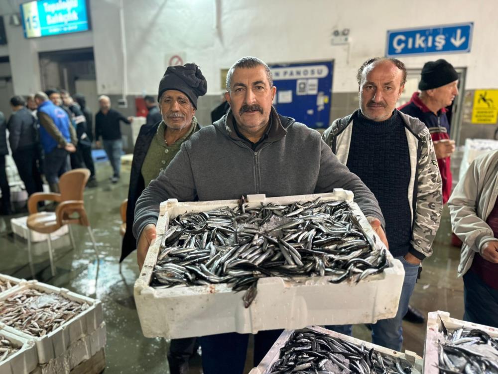 SAMSUN'DA BALIK HALİNDE GECE 03.00'TE YAPILAN MEZATTA KASALAR DOLUSU HAMSİ KAPIŞ KAPIŞ SATILDI. YAKLAŞIK 15 İLE 17 KİLO GELEN HAMSİNİN KASASI 300 İLE 500 TL ARASINDA SATIN ALDI