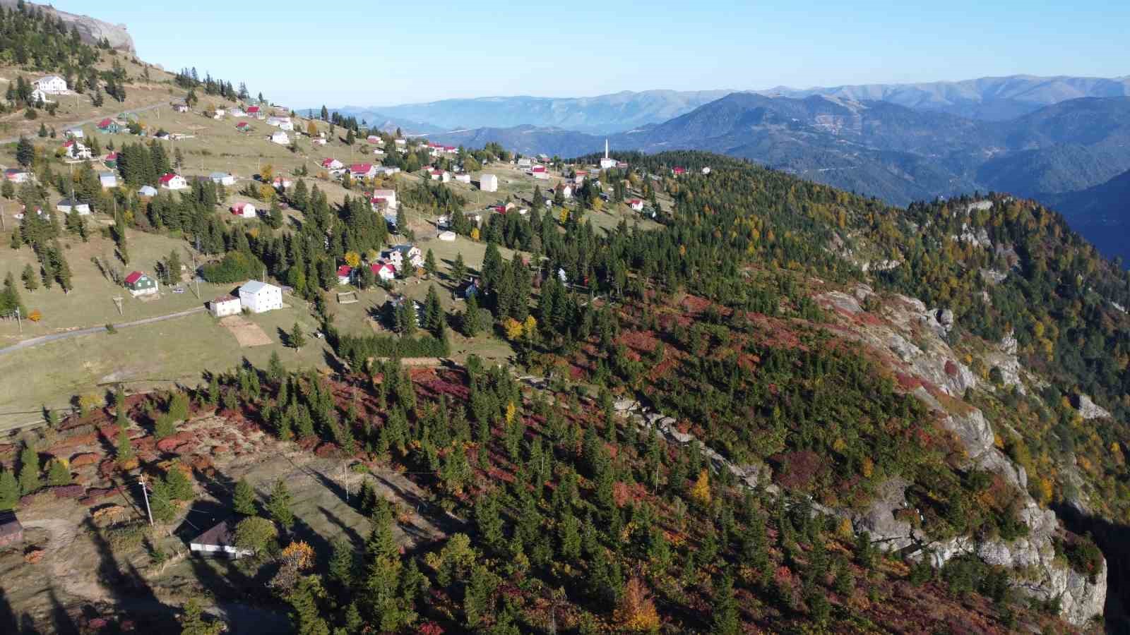 TRABZON'UN ŞALPAZARI İLÇESİ İLE GİRESUN'UN EYNESİL İLÇESİ SAKİNLERİ TARAFINDAN YOĞUN OLARAK KULLANILAN DENİZ SEVİYESİNDEN 2 BİN 182 METRE YÜKSEKTEKİ SİS DAĞI YAYLASI SONBAHARIN TÜM RENKLERİNİ BÜNYESİNDE BARINDIRIYO
