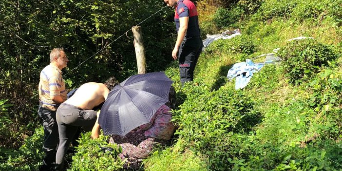 ÇAYELİ'NE BAĞLI BUZLUPINAR KÖYÜ YALÇINLAR MEVKİİNDE MEYDANA GELEN TELEFERİK KAZASINDA 40 YAŞINDAKİ BİLAL ÖZMEN ÇAYLIK ALANA DÜŞEREK YARALANDI