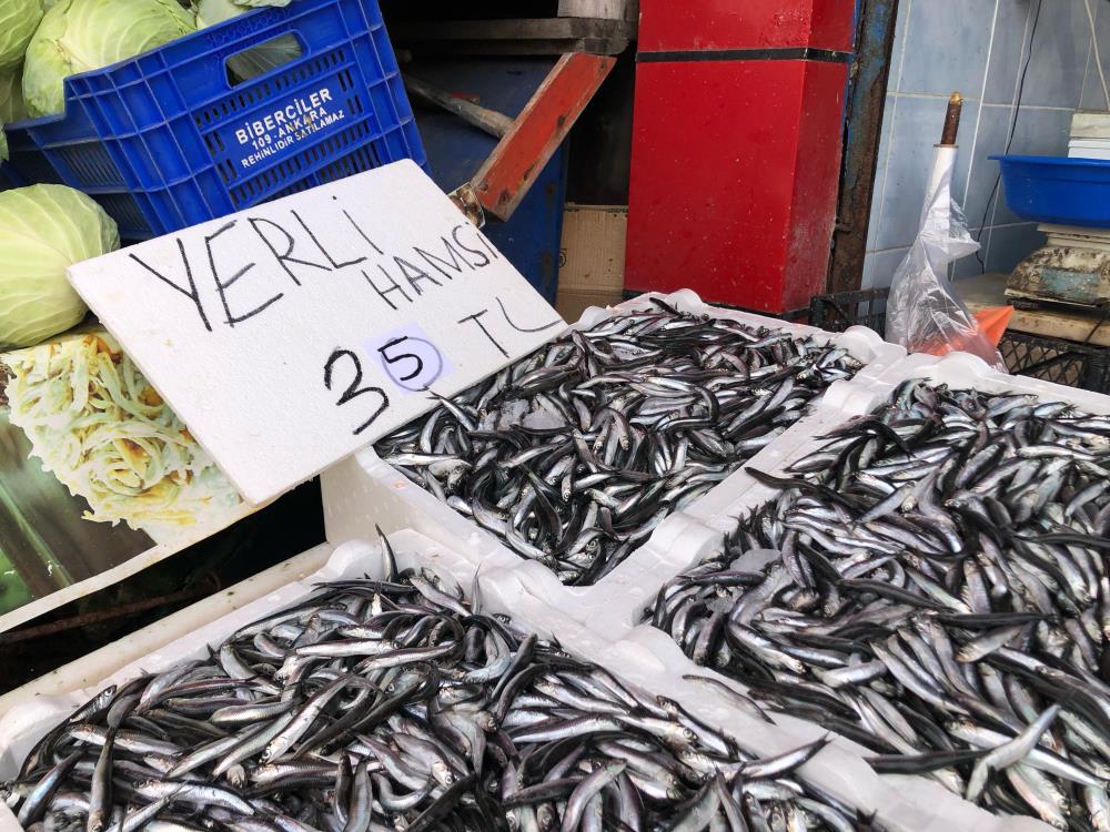 KARADENİZ'İN SOĞUMAYA BAŞLAMASI İLE BİRLİKTE RİZE AÇIKLARINDA HAMSİ BOLLUĞU SÜRERKEN, BU BOLLUK TEZGAHLARA DA YANSIYOR.HAMSİNİN KİLOSU 35 TL’DEN SATILIYOR
