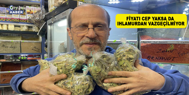 ATALARIMIZDAN KALMA BİR SOĞUK ALGINLIĞI İLACI OLAN , KIŞ VE SONBAHAR AYLARININ VAZGEÇİLMEZİ IHLAMUR , GEÇEN SENE IHLAMUR ÇİÇEĞİNİN KİLOGRAM FİYATI 600 TL İKEN BU YIL 800 TL'YE KADAR YÜKSELDİ