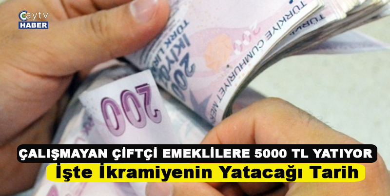 Emekli çay üreticilerine 5000 tl ikramiye ödeniyor , İşte ödenecek tarih