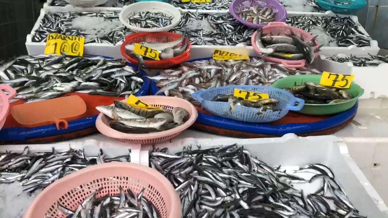 DOĞU KARADENİZ'DE ETKİLİ OLAN FIRTINANIN ARDINDAN TEZGAHLARDA HAMSİ BOLLUĞU YAŞANDI.BOLCA ÇIKAN HAMSİNİN KİLOSU DA 35 TL'DEN ALICI BULDU