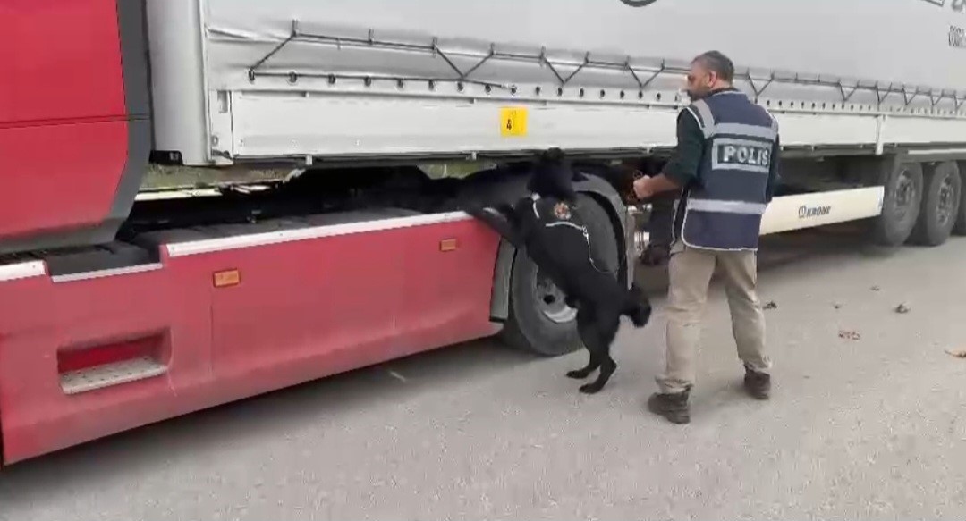 SAMSUN'DA NARKOTİK POLİSİ TARAFINDAN BİR TIRDA YAPILAN ARAMADA 3 KİLO 950 GRAM SKUNK ADLI UYUŞTURUCU ELE GEÇİRİLDİ