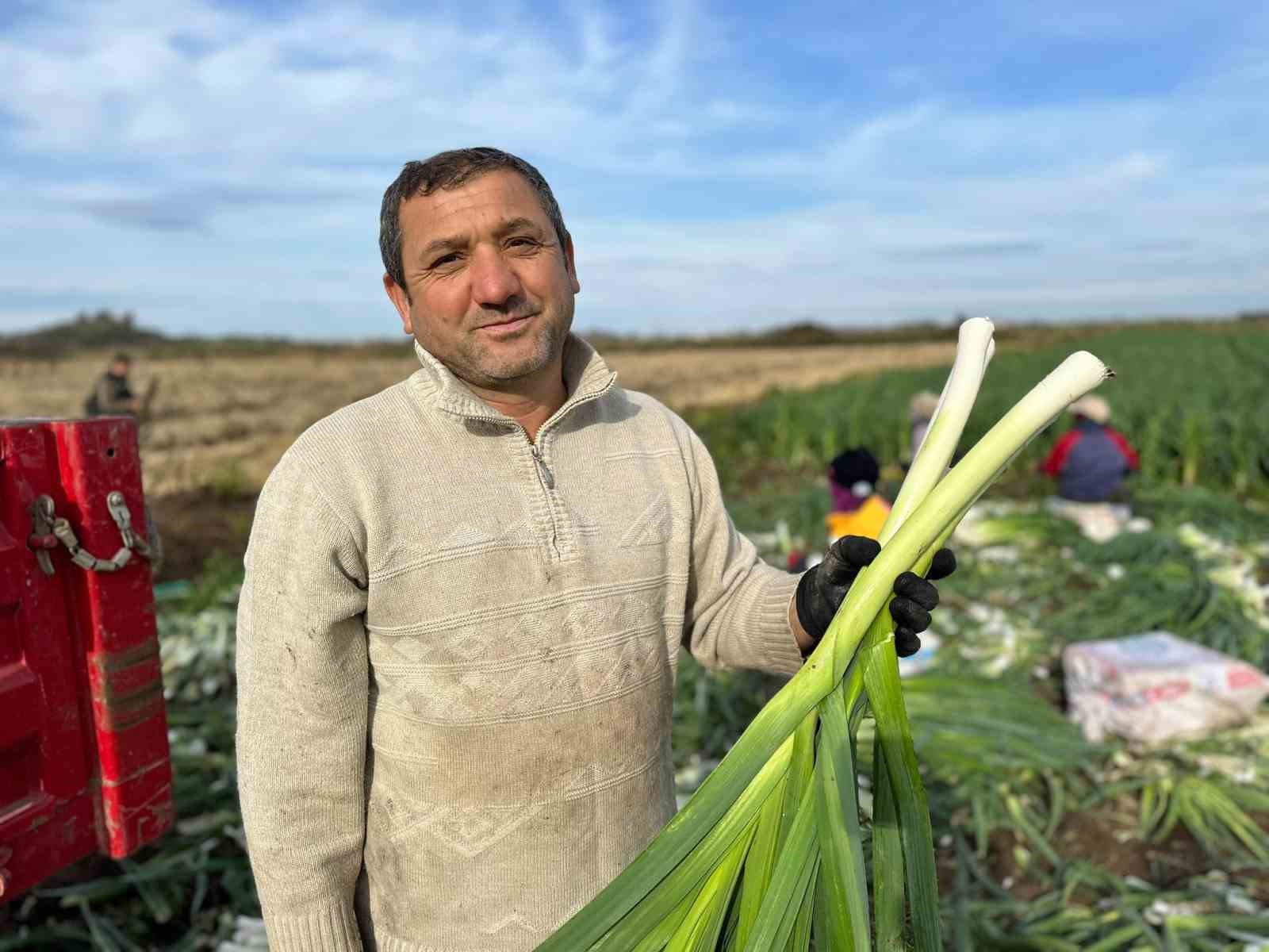 SAMSUN'UN BAFRA OVASI'NDA BAŞLAYAN PIRASA HASADI DEVAM EDİYOR. ÇİFTÇİLER PIRASADA VERİMİN İYİ OLDUĞUNU FAKAT PAZAR SIKINTISINDAN DOLAYI ÜRÜNLERİNİ SATMAKTA ZORLANDIKLARINI SÖYLEDİLER