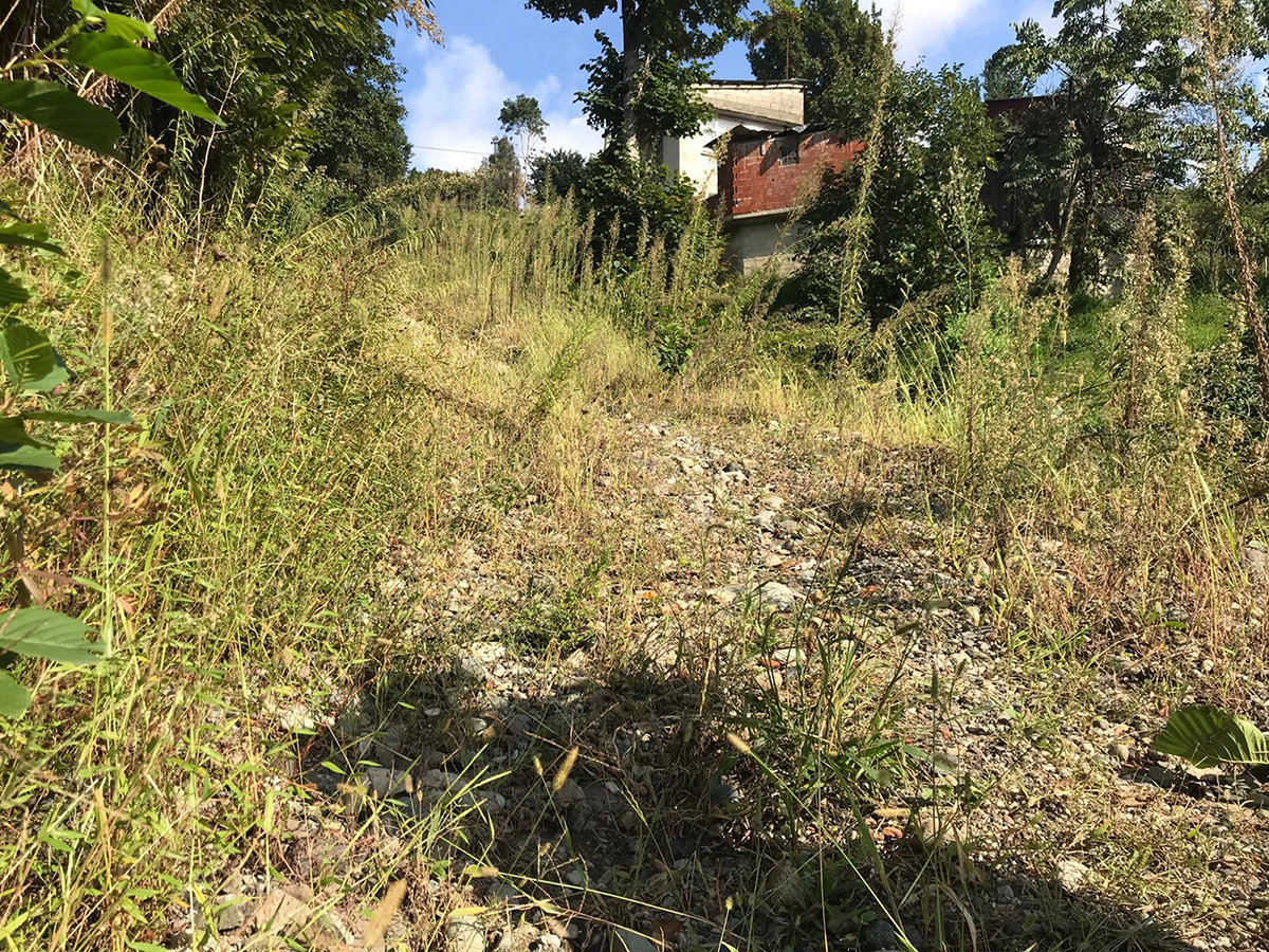 rize-derepzari-eriklimani-2.jpg