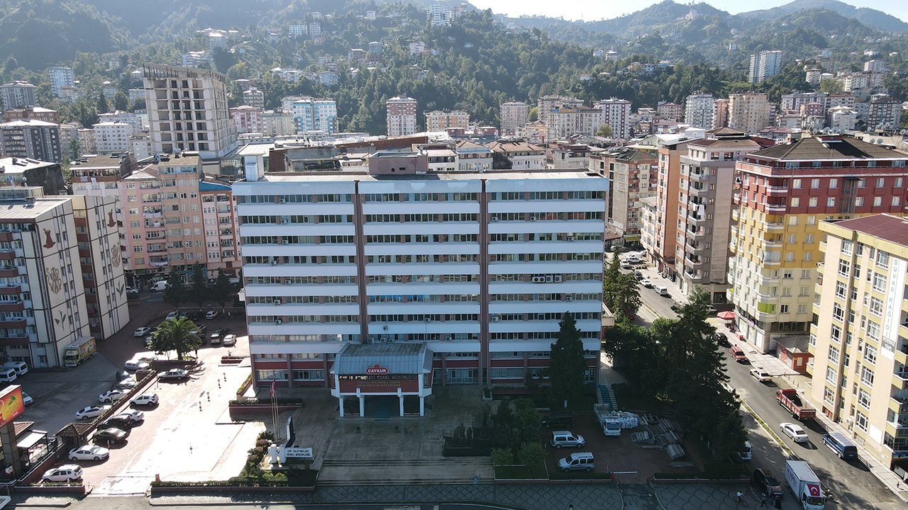 rize-1.jpg