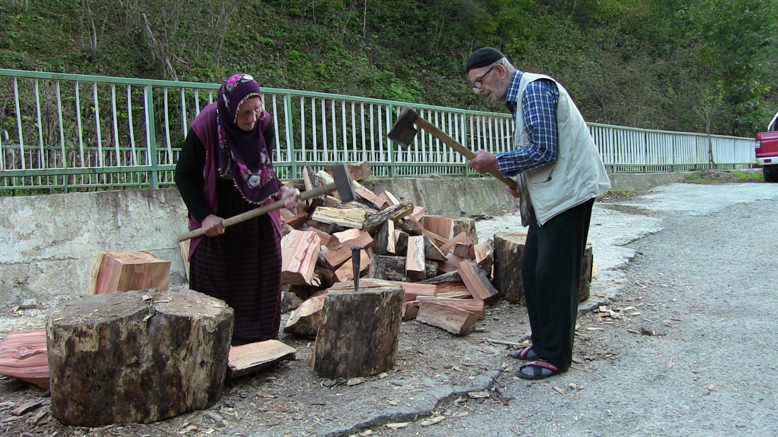 yasli-artvin-1.jpg
