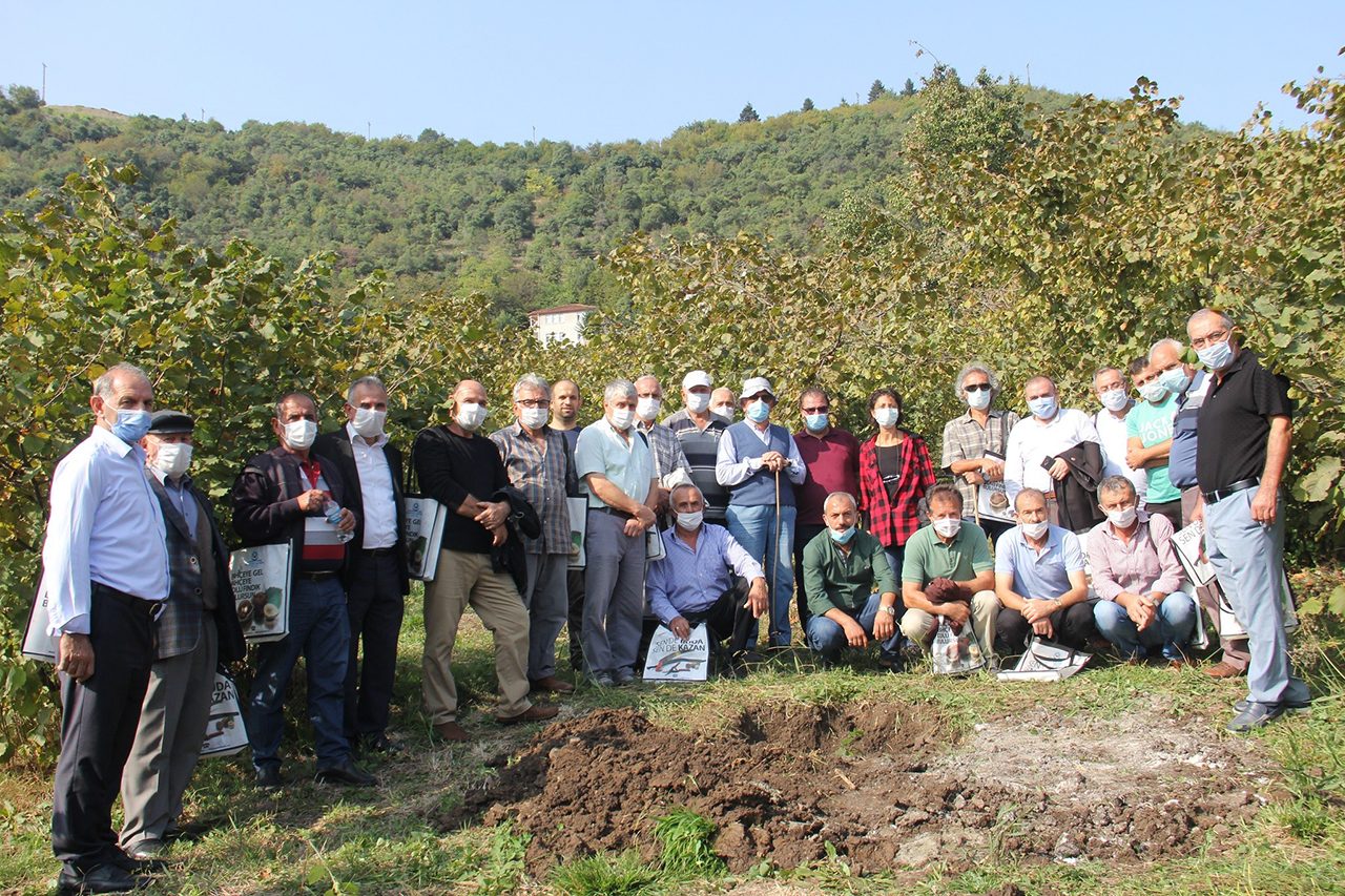 findik-trabzon-1.jpg