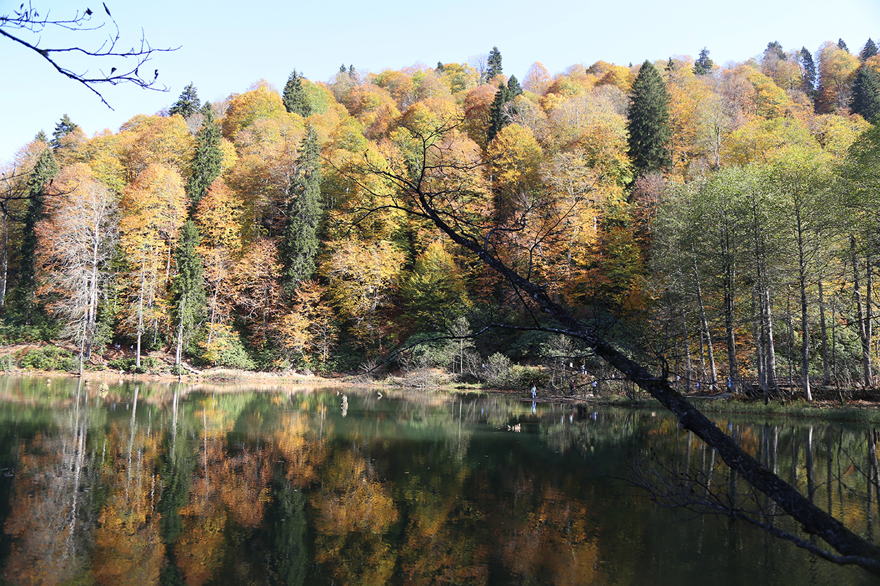 artvin-borcka-karagol-14.jpg