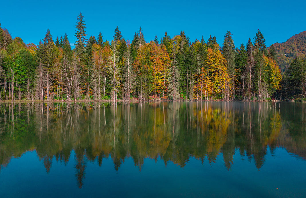 artvin-resimleri-19.jpg