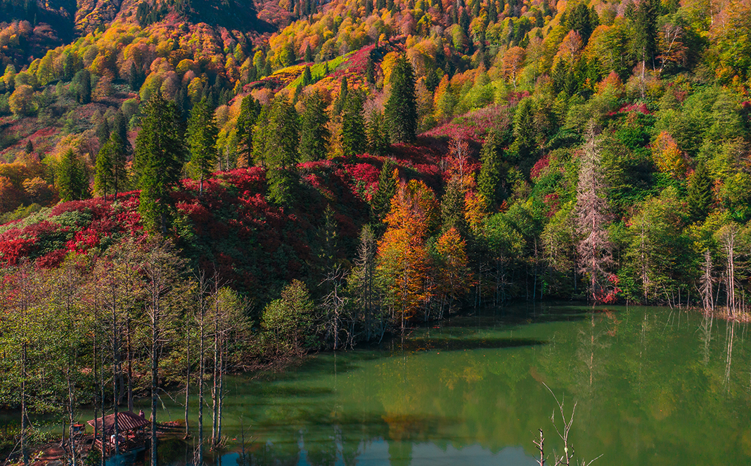 artvin-resimleri-22.jpg