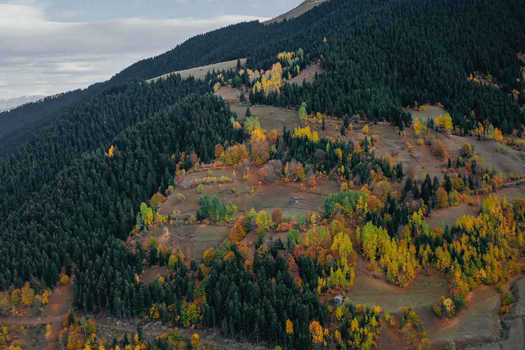 artvin-resimleri-23.jpg