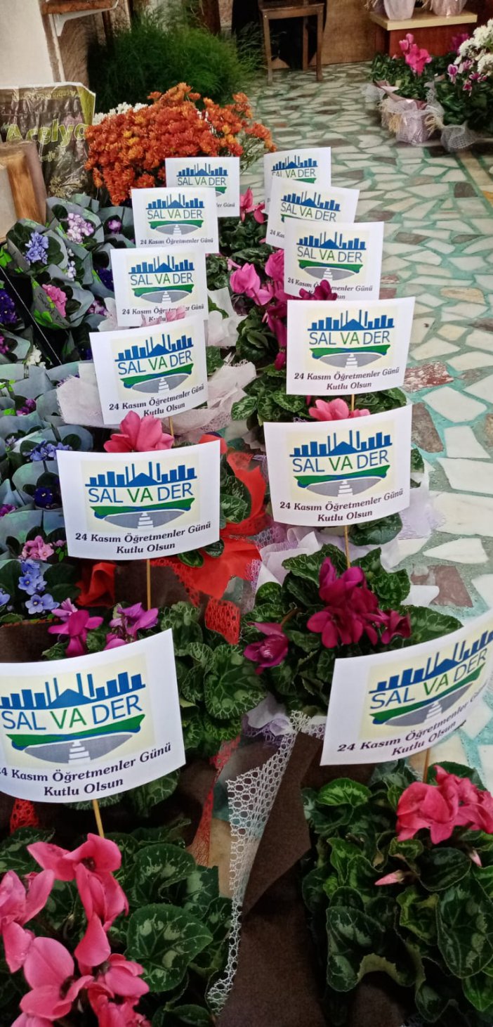 salvadar-cicek.jpg