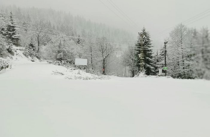 artvin-kar-1.jpg